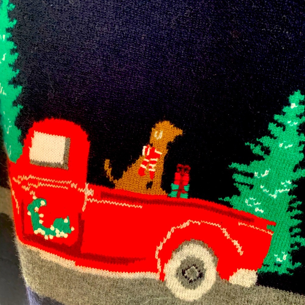 Christmas sweater with dog